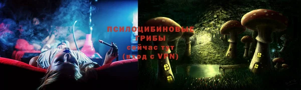 ГАЛЛЮЦИНОГЕННЫЕ ГРИБЫ Заволжье