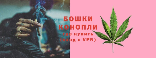 ГАЛЛЮЦИНОГЕННЫЕ ГРИБЫ Заволжье
