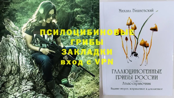 ГАЛЛЮЦИНОГЕННЫЕ ГРИБЫ Заволжье