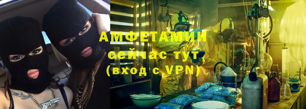 ГАЛЛЮЦИНОГЕННЫЕ ГРИБЫ Заволжье