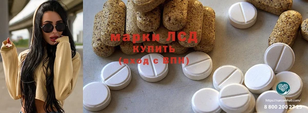 ГАЛЛЮЦИНОГЕННЫЕ ГРИБЫ Заволжье